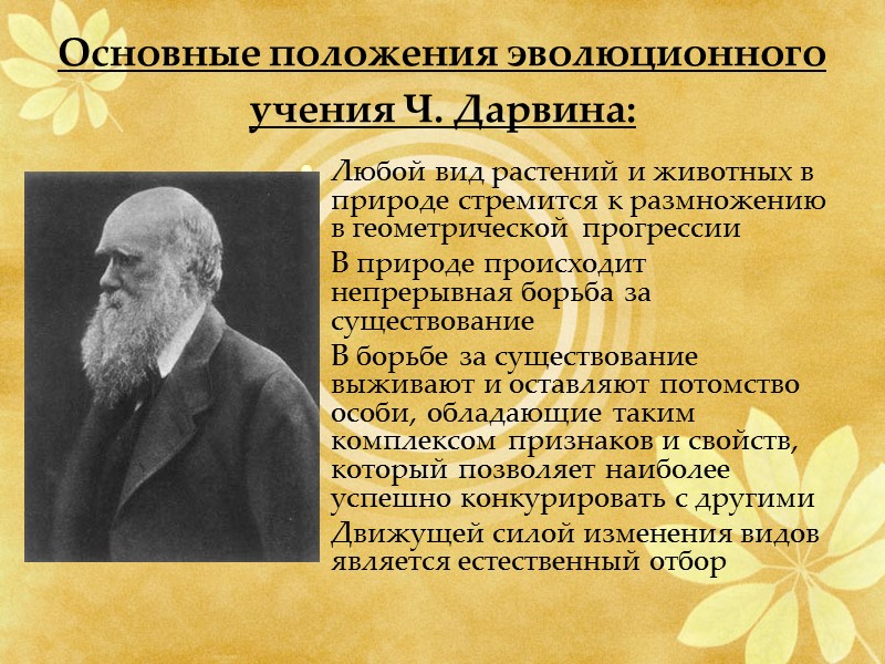 Основные положения эволюционного учения Ч. Дарвина:  Любой вид растений и животных в природе
